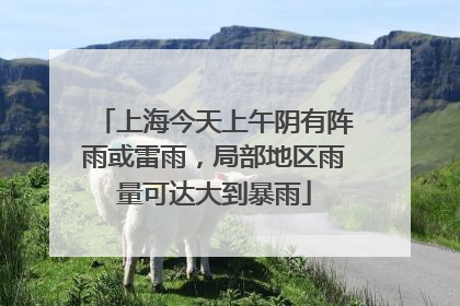 上海今天上午阴有阵雨或雷雨，局部地区雨量可达大到暴雨